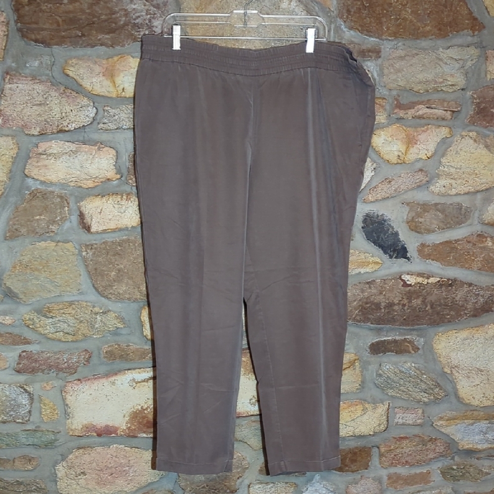 Chicos Brown Casual Pants